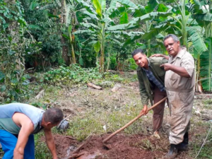 Plantação para dividir com os irmãos